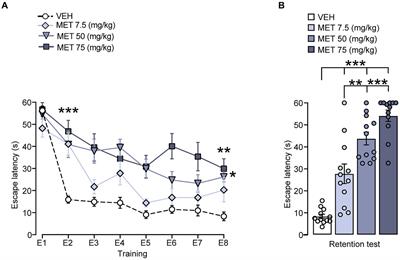 Inhibition of corticosterone synthesis impairs cued water maze consolidation, but it does not affect the expression of BDNF, CK2 and SGK1 genes in dorsal striatum